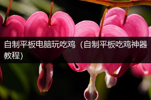 自制平板电脑玩吃鸡（自制平板吃鸡神器教程）