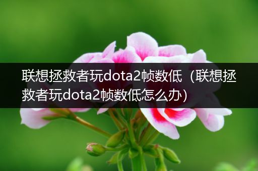 联想拯救者玩dota2帧数低（联想拯救者玩dota2帧数低怎么办）