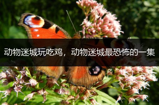 动物迷城玩吃鸡，动物迷城最恐怖的一集