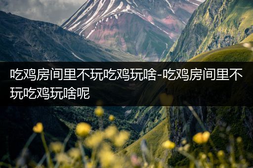 吃鸡房间里不玩吃鸡玩啥-吃鸡房间里不玩吃鸡玩啥呢