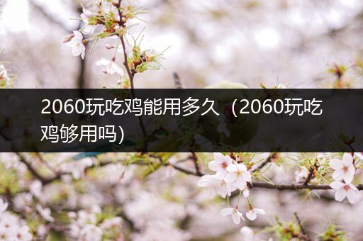 2060玩吃鸡能用多久（2060玩吃鸡够用吗）