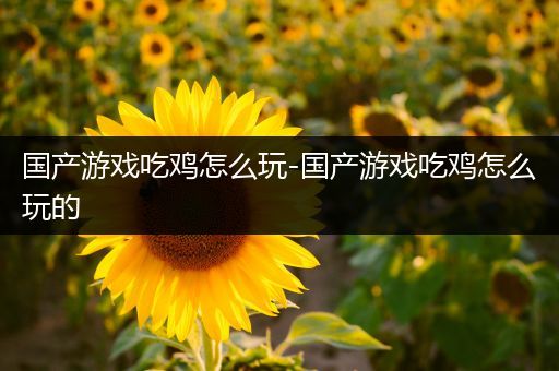 国产游戏吃鸡怎么玩-国产游戏吃鸡怎么玩的
