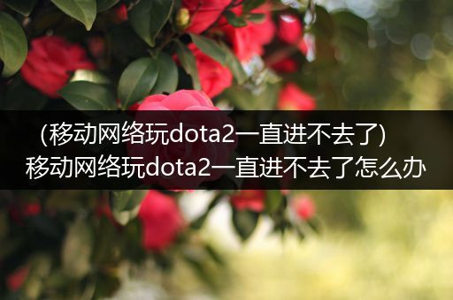 （移动网络玩dota2一直进不去了)移动网络玩dota2一直进不去了怎么办