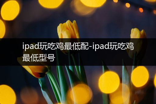 ipad玩吃鸡最低配-ipad玩吃鸡最低型号
