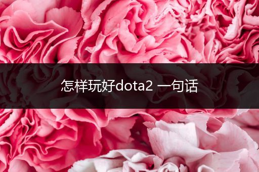 怎样玩好dota2 一句话