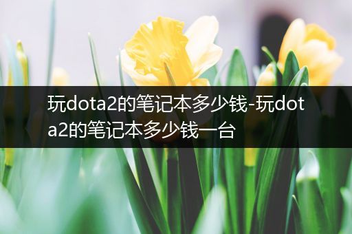 玩dota2的笔记本多少钱-玩dota2的笔记本多少钱一台