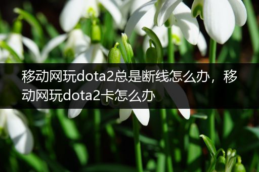 移动网玩dota2总是断线怎么办，移动网玩dota2卡怎么办