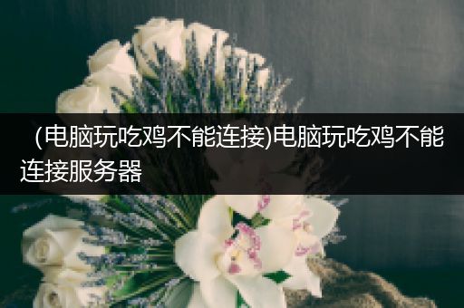（电脑玩吃鸡不能连接)电脑玩吃鸡不能连接服务器