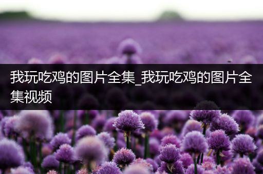 我玩吃鸡的图片全集_我玩吃鸡的图片全集视频