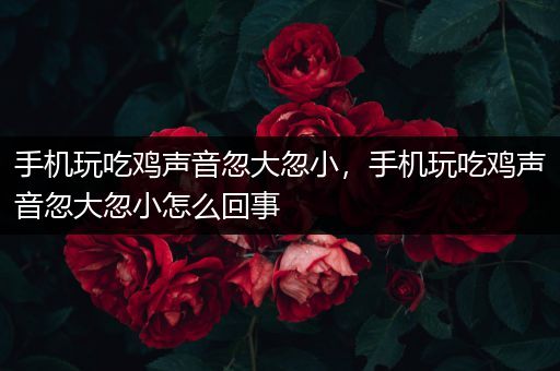 手机玩吃鸡声音忽大忽小，手机玩吃鸡声音忽大忽小怎么回事
