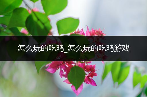 怎么玩的吃鸡_怎么玩的吃鸡游戏