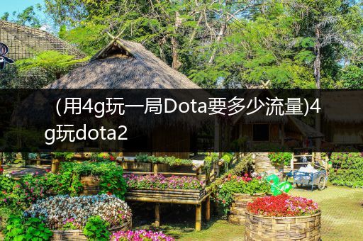 （用4g玩一局Dota要多少流量)4g玩dota2