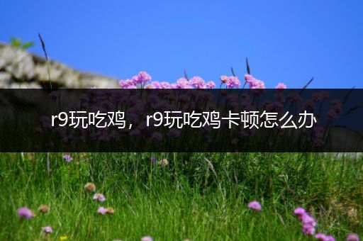 r9玩吃鸡，r9玩吃鸡卡顿怎么办