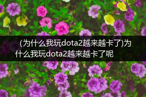 （为什么我玩dota2越来越卡了)为什么我玩dota2越来越卡了呢