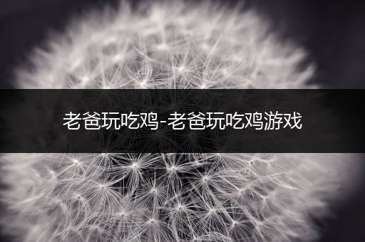 老爸玩吃鸡-老爸玩吃鸡游戏