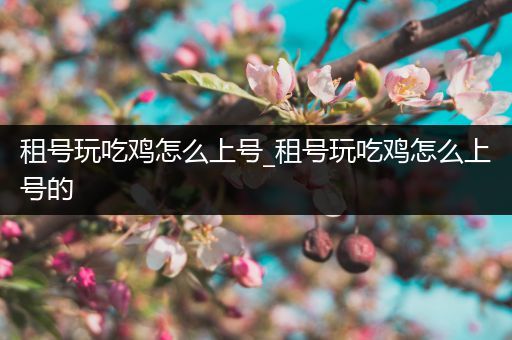 租号玩吃鸡怎么上号_租号玩吃鸡怎么上号的