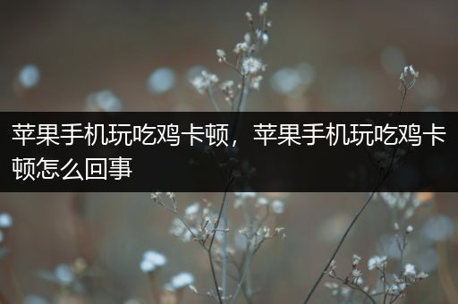 苹果手机玩吃鸡卡顿，苹果手机玩吃鸡卡顿怎么回事