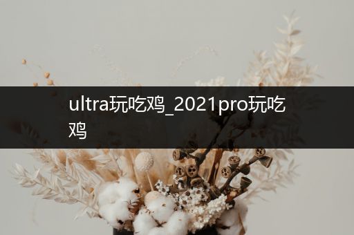 ultra玩吃鸡_2021pro玩吃鸡