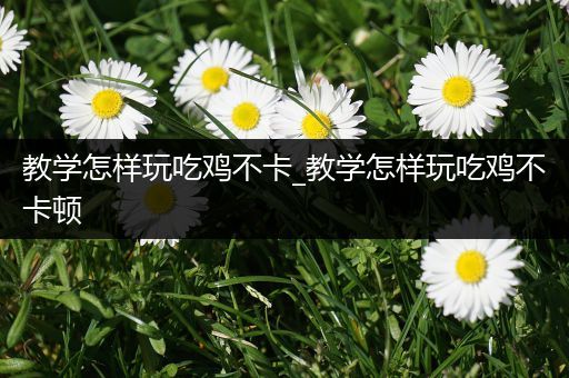 教学怎样玩吃鸡不卡_教学怎样玩吃鸡不卡顿