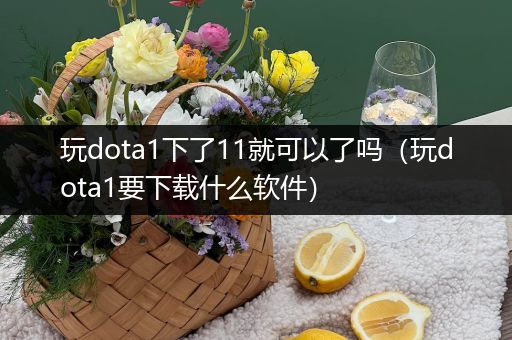 玩dota1下了11就可以了吗（玩dota1要下载什么软件）