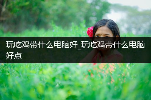 玩吃鸡带什么电脑好_玩吃鸡带什么电脑好点