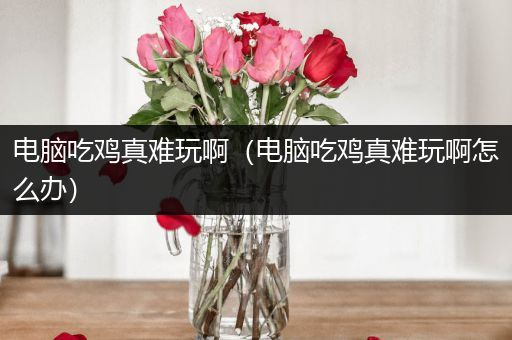 电脑吃鸡真难玩啊（电脑吃鸡真难玩啊怎么办）