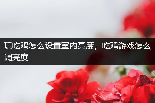 玩吃鸡怎么设置室内亮度，吃鸡游戏怎么调亮度