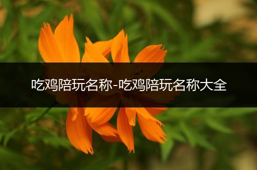 吃鸡陪玩名称-吃鸡陪玩名称大全