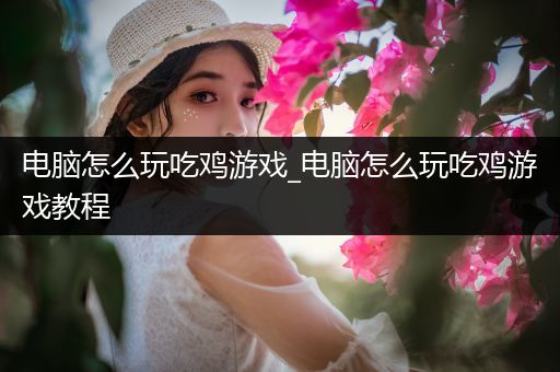 电脑怎么玩吃鸡游戏_电脑怎么玩吃鸡游戏教程