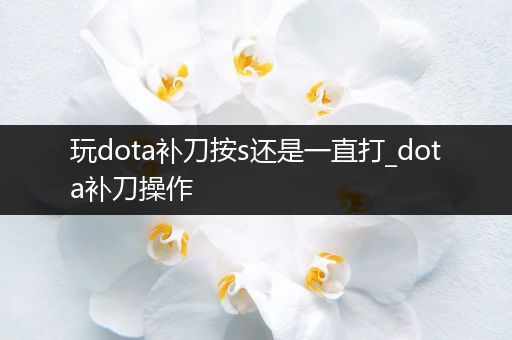 玩dota补刀按s还是一直打_dota补刀操作