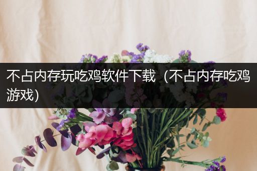 不占内存玩吃鸡软件下载（不占内存吃鸡游戏）