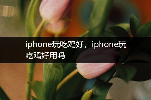 iphone玩吃鸡好，iphone玩吃鸡好用吗