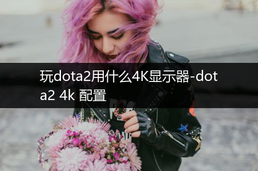 玩dota2用什么4K显示器-dota2 4k 配置