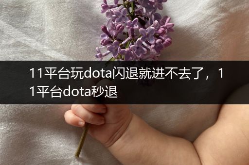 11平台玩dota闪退就进不去了，11平台dota秒退