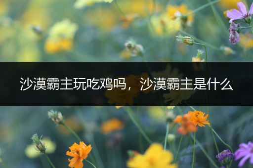 沙漠霸主玩吃鸡吗，沙漠霸主是什么