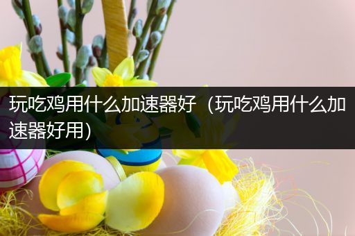 玩吃鸡用什么加速器好（玩吃鸡用什么加速器好用）