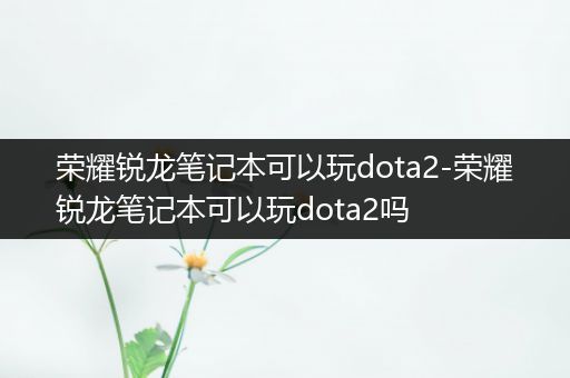 荣耀锐龙笔记本可以玩dota2-荣耀锐龙笔记本可以玩dota2吗