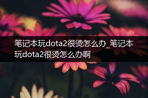 笔记本玩dota2很烫怎么办_笔记本玩dota2很烫怎么办啊