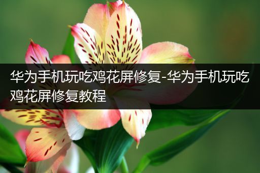 华为手机玩吃鸡花屏修复-华为手机玩吃鸡花屏修复教程