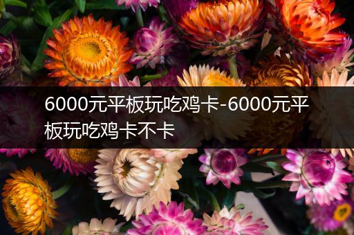 6000元平板玩吃鸡卡-6000元平板玩吃鸡卡不卡