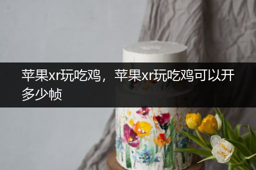苹果xr玩吃鸡，苹果xr玩吃鸡可以开多少帧