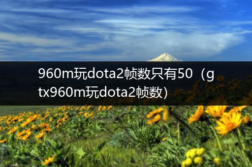 960m玩dota2帧数只有50（gtx960m玩dota2帧数）