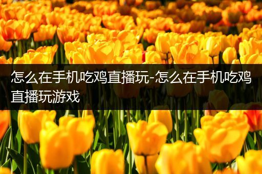 怎么在手机吃鸡直播玩-怎么在手机吃鸡直播玩游戏
