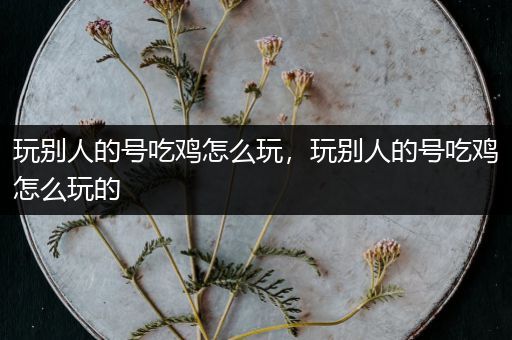 玩别人的号吃鸡怎么玩，玩别人的号吃鸡怎么玩的