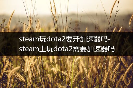 steam玩dota2要开加速器吗-steam上玩dota2需要加速器吗