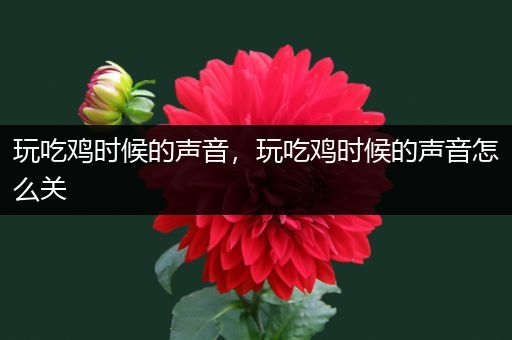 玩吃鸡时候的声音，玩吃鸡时候的声音怎么关