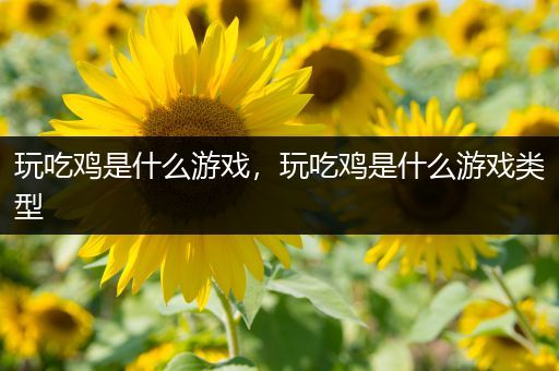 玩吃鸡是什么游戏，玩吃鸡是什么游戏类型