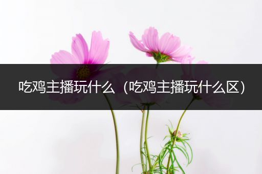 吃鸡主播玩什么（吃鸡主播玩什么区）