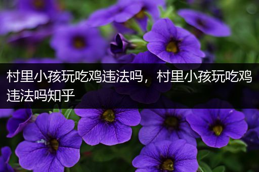 村里小孩玩吃鸡违法吗，村里小孩玩吃鸡违法吗知乎