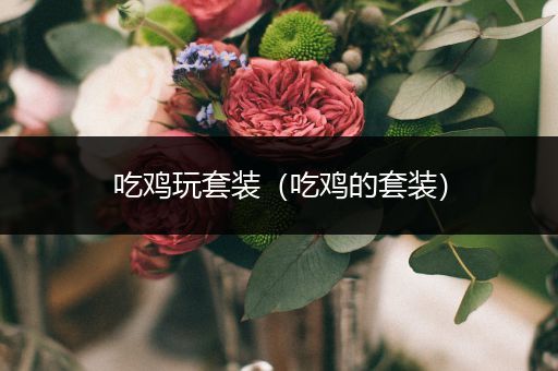 吃鸡玩套装（吃鸡的套装）
